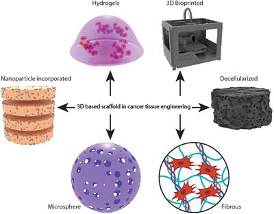 Frontiers Advancement Of Scaffold Based 3D Cellular Models In Cancer